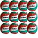 Pallone Volley Molten V5M2200-L240 Coupon 2025 - Conf. 12 palloni