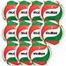 Pallone Volley Molten V5M4000 Coupon 2025 - Conf. 11 palloni